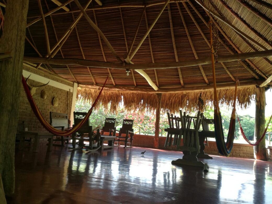 Zona de hamacas bajo el techo de palma del ecolodge
