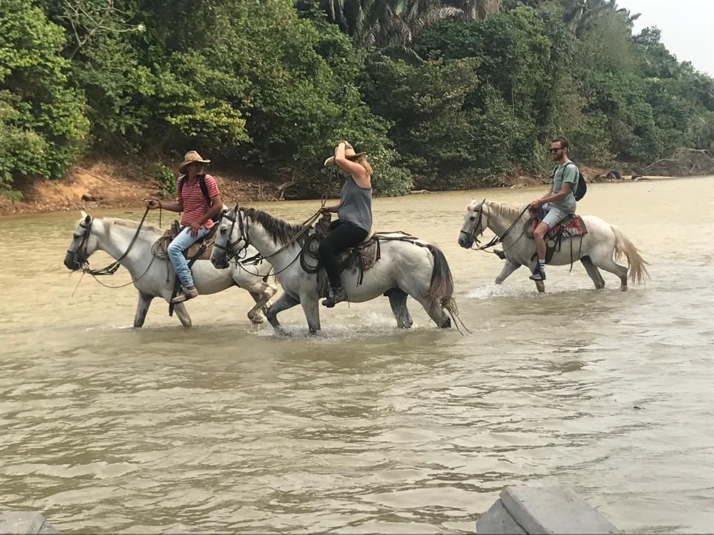 Cabalgata cruzando el río en la sabana