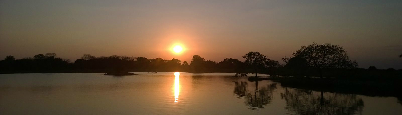 Atardecer sobre los esteros del llano en Casanare